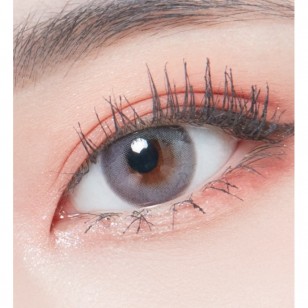 Lighly Mellow Gray(日拋)